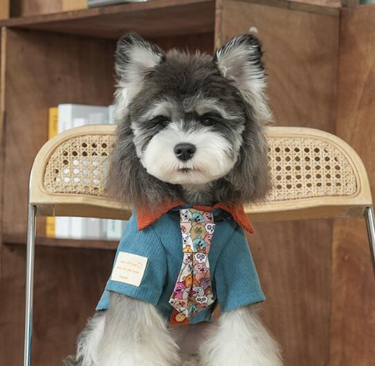 《即納》№1102972 ネクタイ付きシャツ