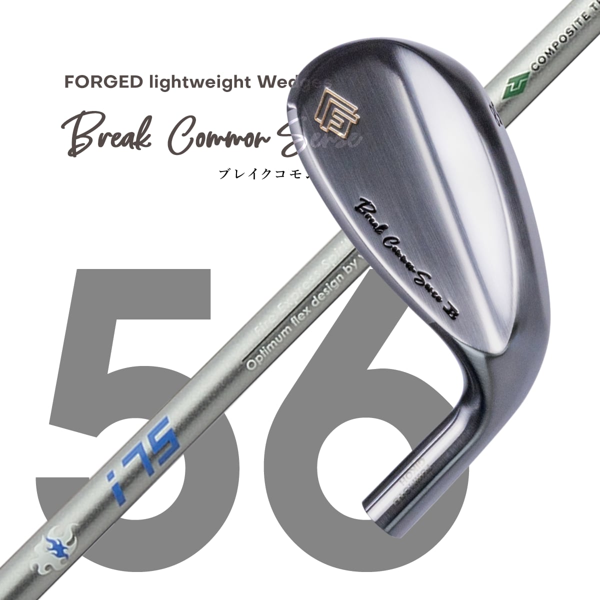 中古 ロッディオ RODDIO PC FORGED アイアンセット 中古 