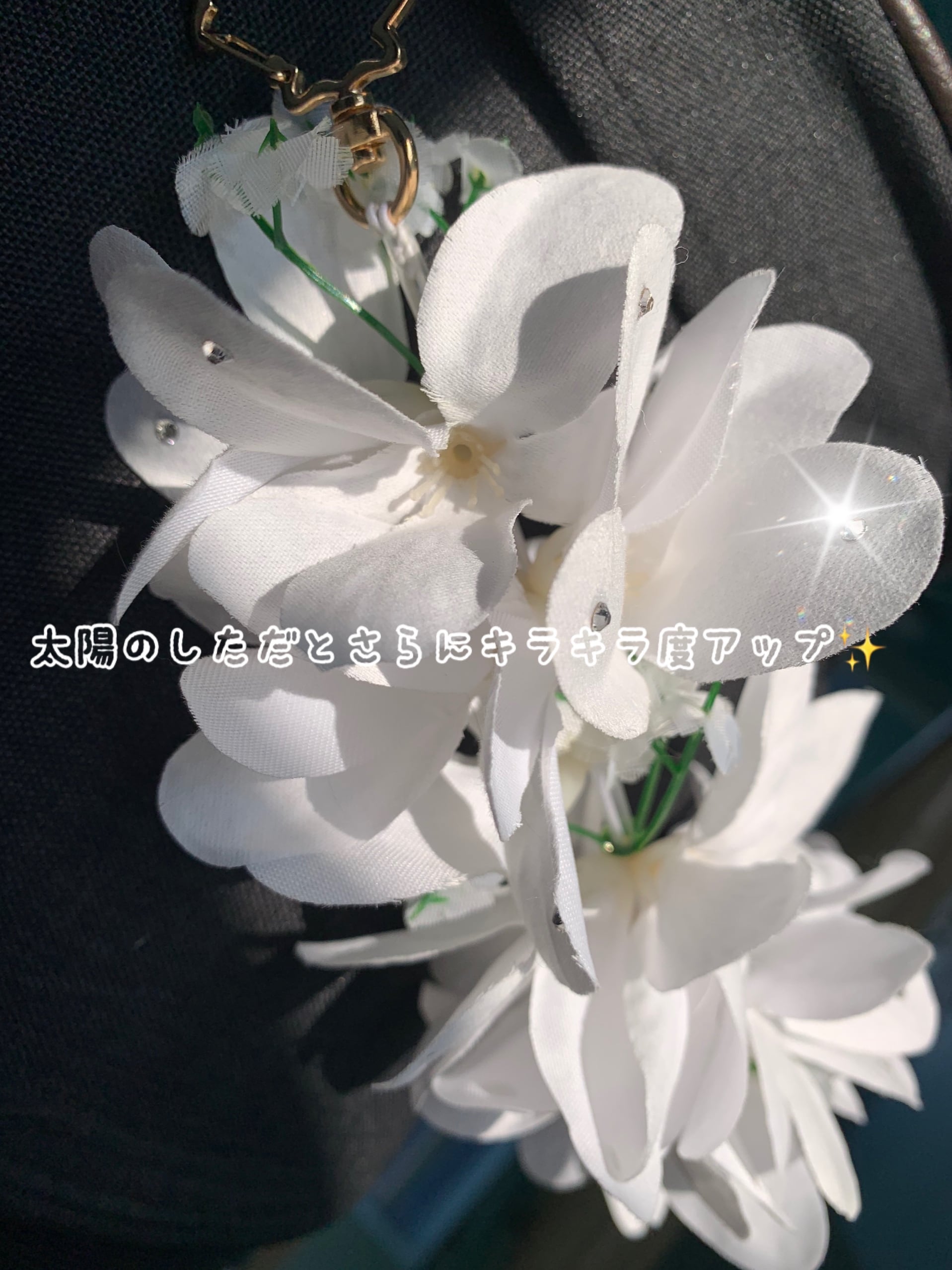バギーカートレイ | ティアロハハワイ