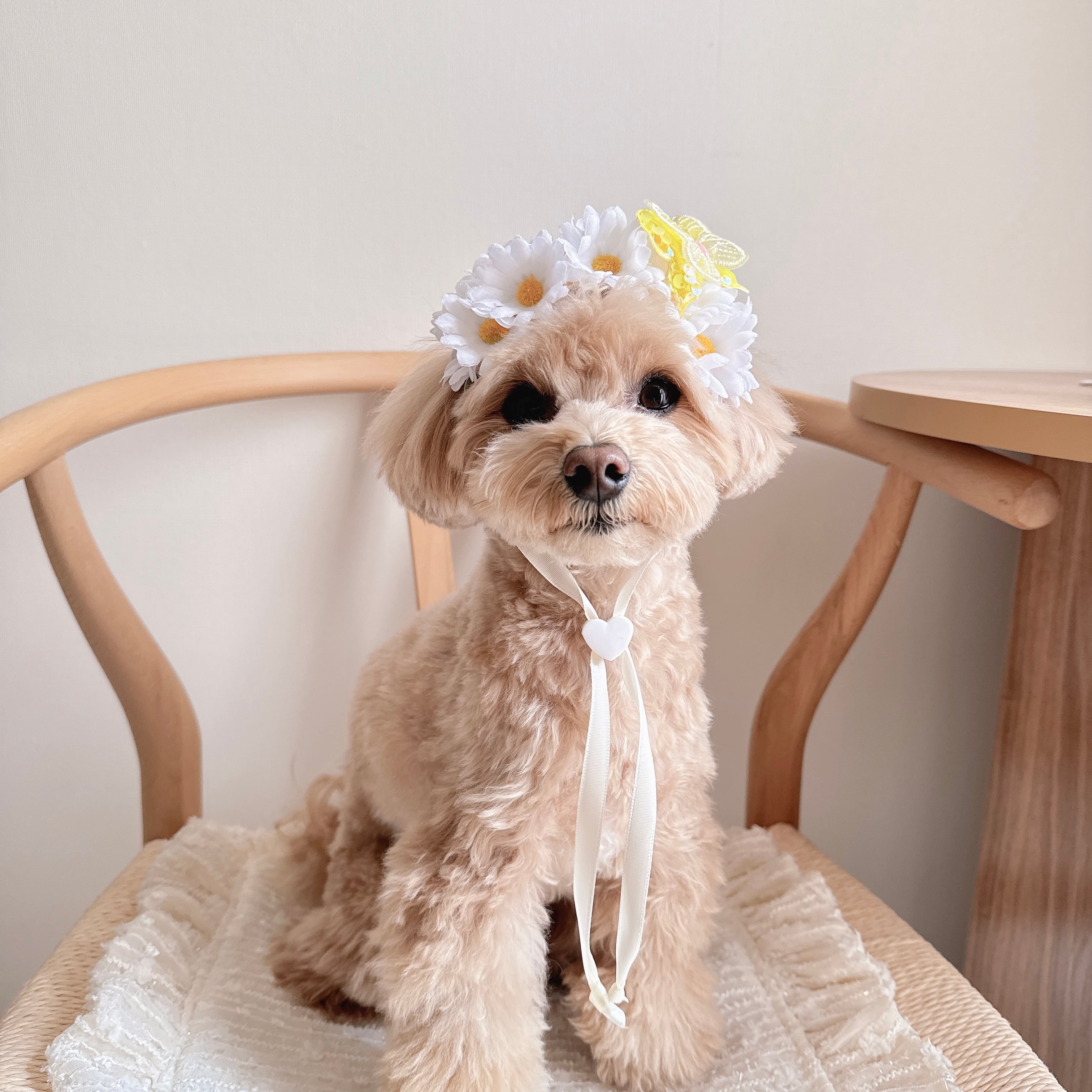 もりもりマーガレットヘッドドレス