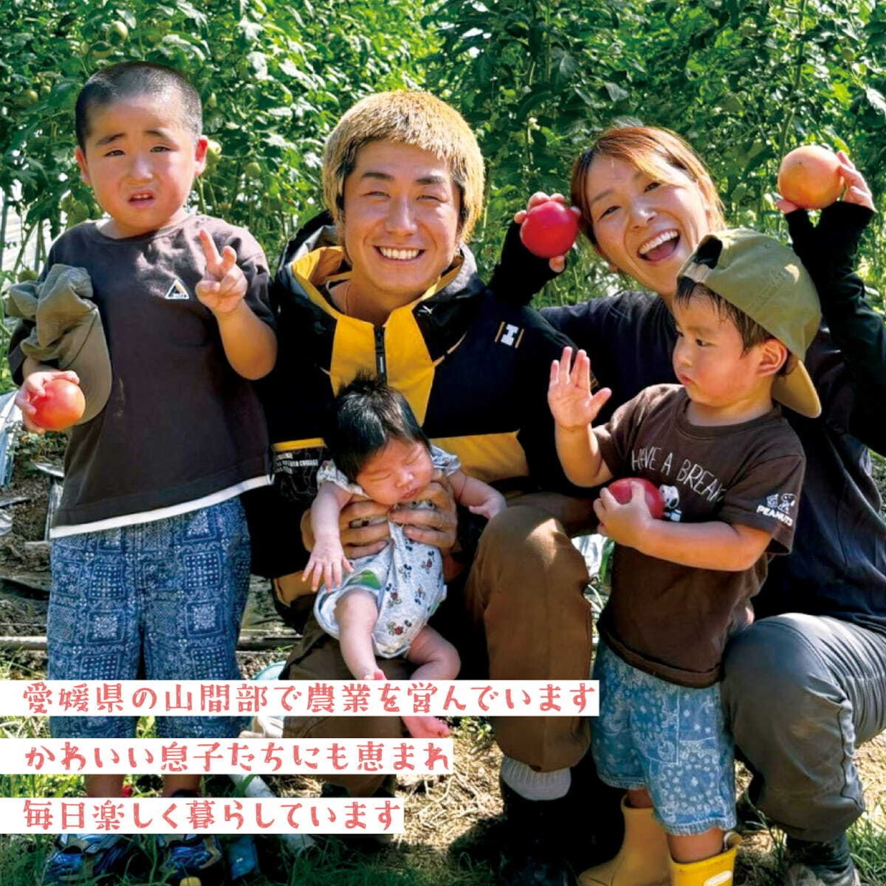 孫トマト 4キロ