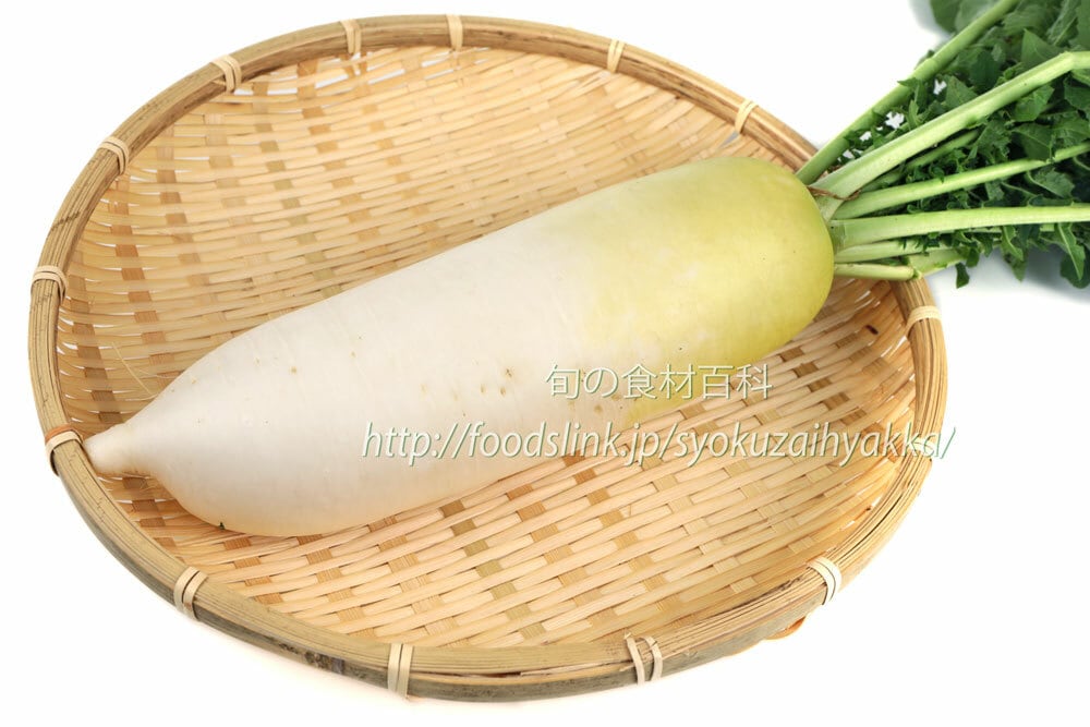 大根（三太郎）DaikonSantaro04(6720x4480) | 旬の食材百科