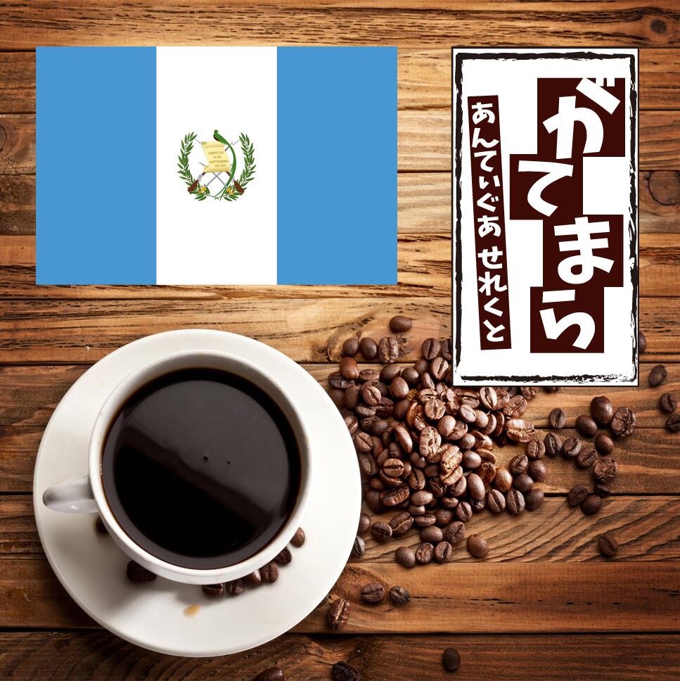 エルサルバドルSHG ジュリア Qグレード 200g | 自家焙煎珈琲豆 千葉酒店