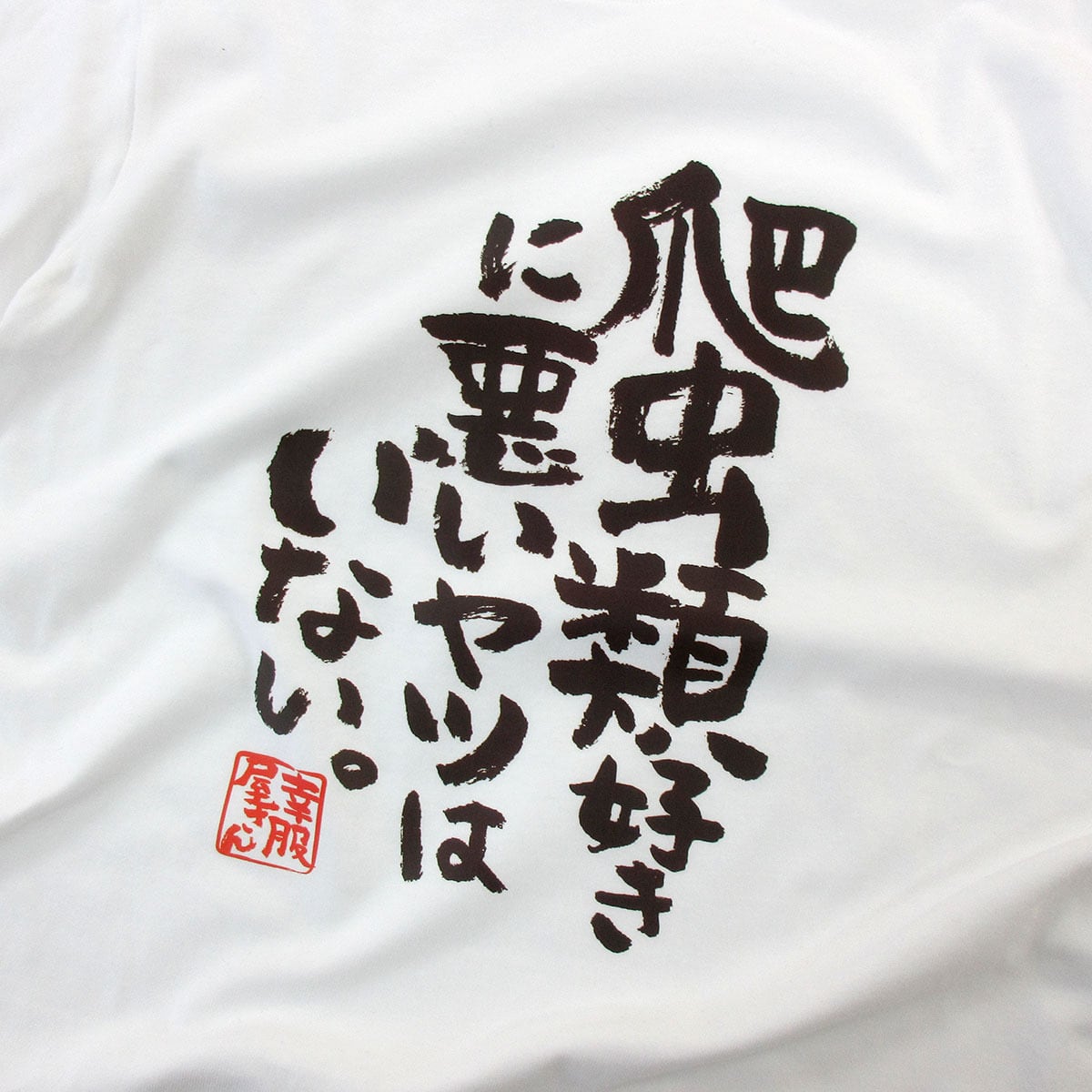 爬虫類好きに悪いヤツはいない。 ka400-77 おもしろ 漢字Tシャツ | 幸
