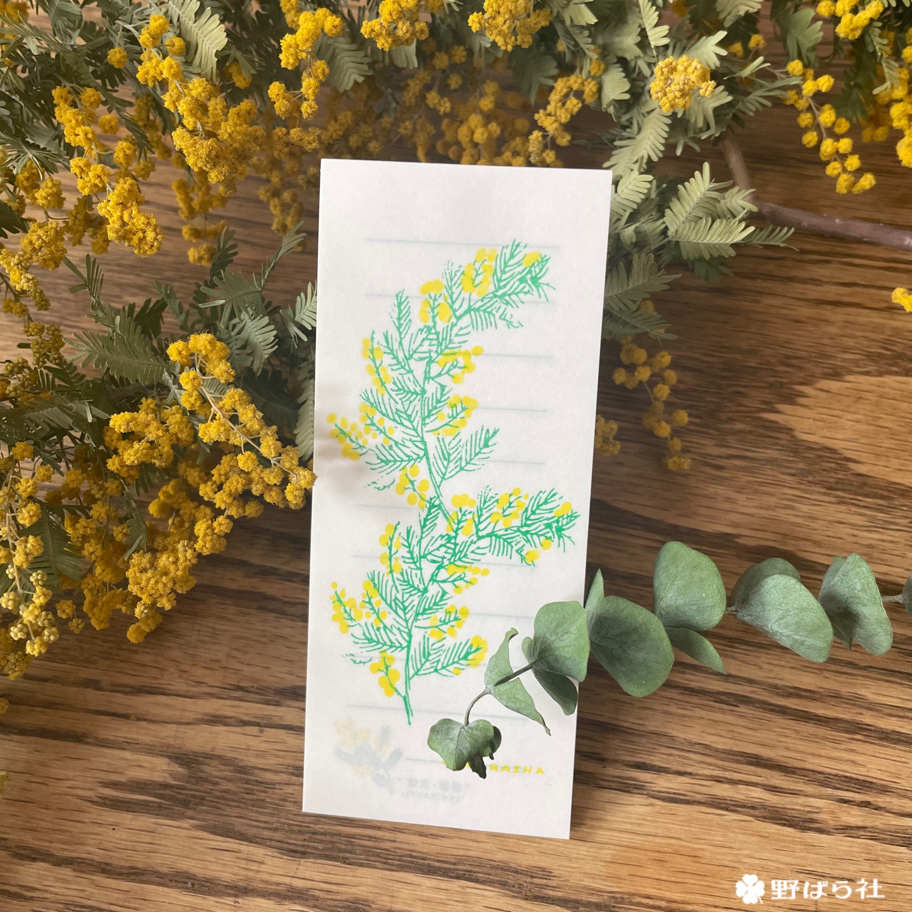 ミモザ（アカシア）の花言葉メモ帖｜PM12-02 | 野ばら社通販部