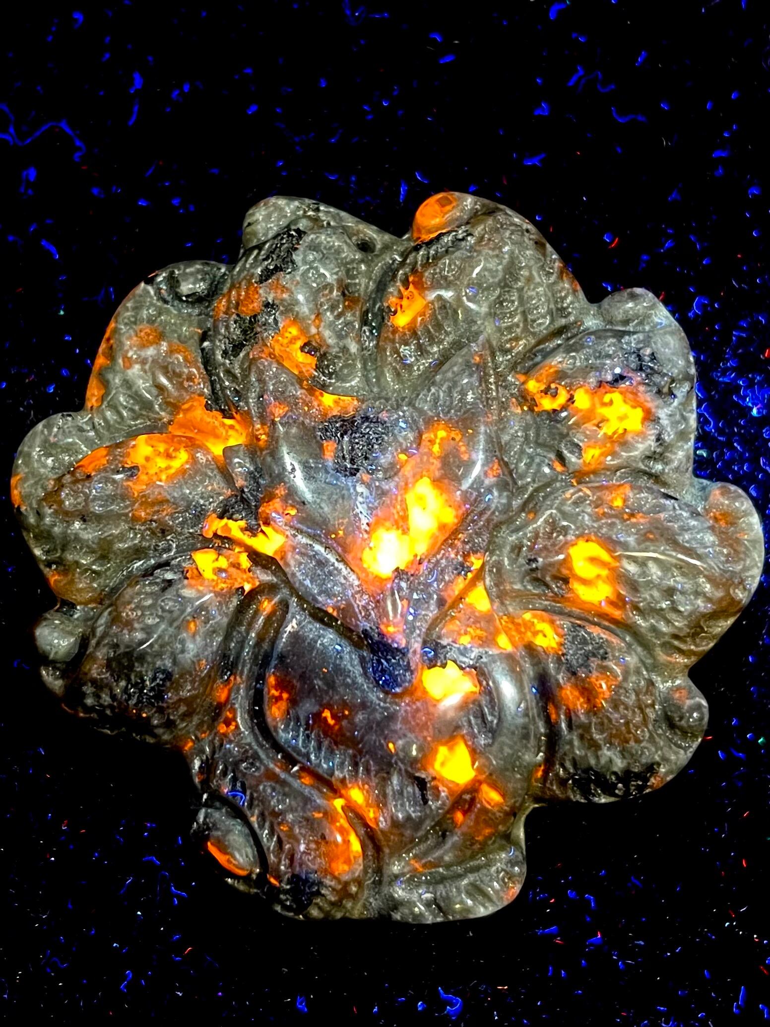 3) ユーパーライト「九尾の狐」