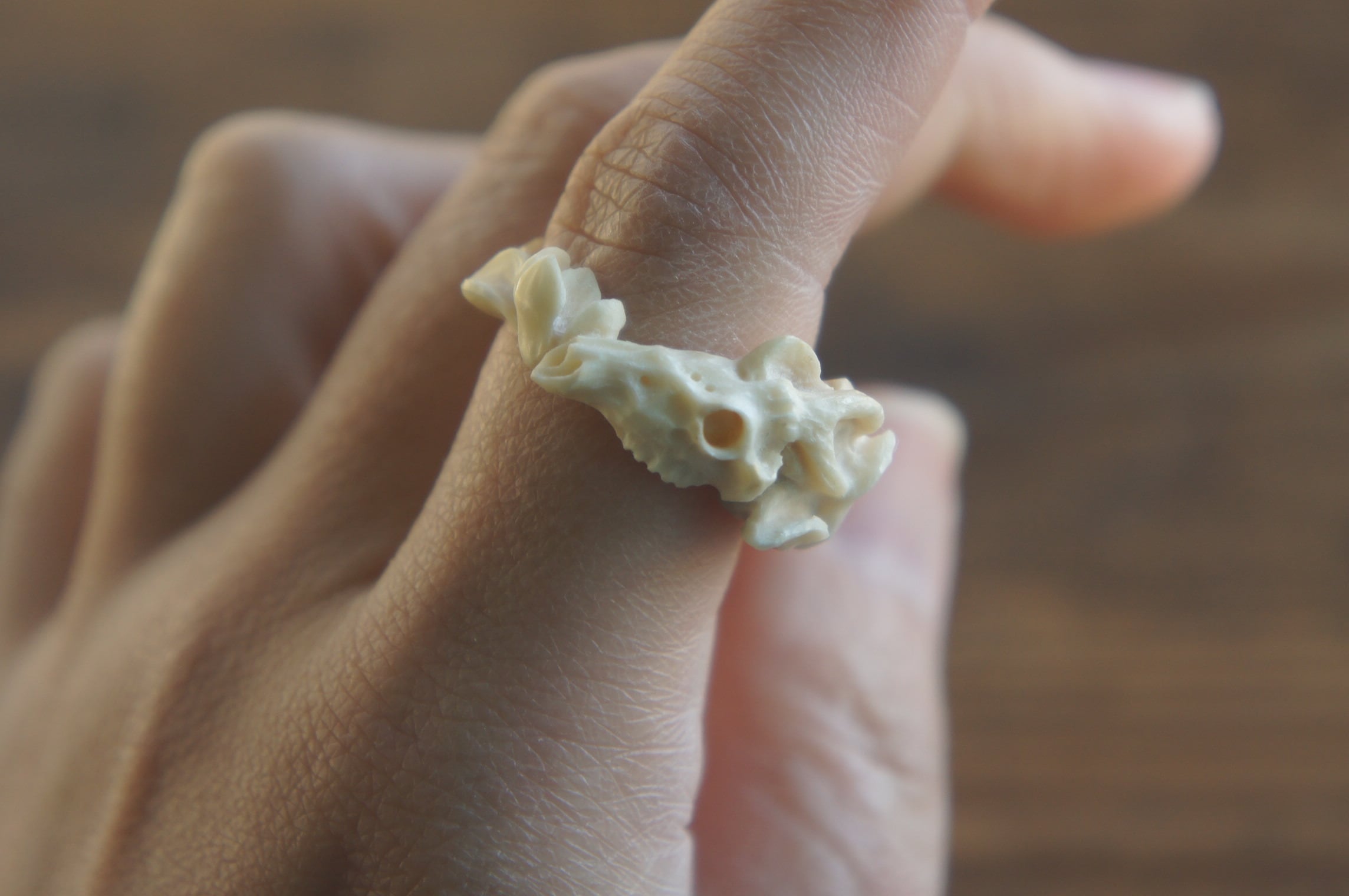 鹿角彫刻「鹿頭骨と木蓮」指輪