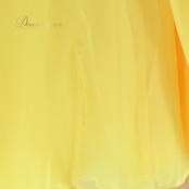 社交ダンス 衣装 スタンダードドレス ワンピース ドレス スタンダード 黄色 レース デモ 競技 ダンス パーティ 発表会 上品 綺麗 華やか イエロー系 フロート スカート 3枚重ね 落ち感 競技用 発表会用 ステージ衣装 ゴージャス コスチューム ロングドレス パーティー ショー