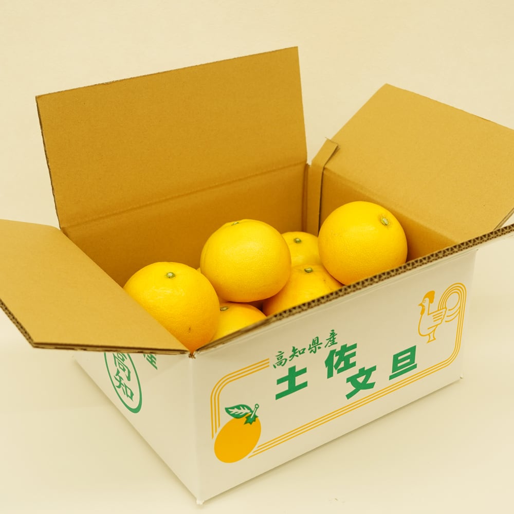松岡農園 土佐文旦 5kg 家庭用 高知県産 産地直送 | すくも特産品マルシェ