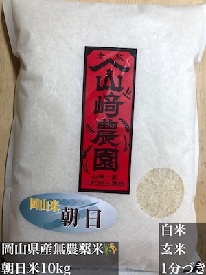 10kg朝日（白米）　倉敷　山﨑農園　無農薬米