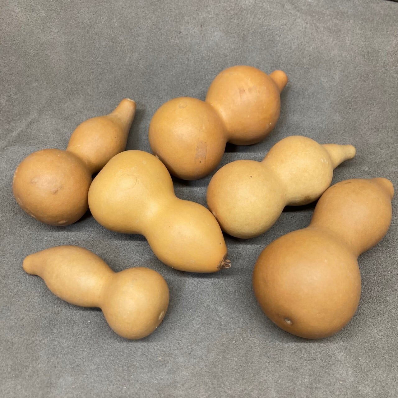 ドライフラワー〈DRIED FLOWERS LAB〉ひょうたん 5袋セット | The