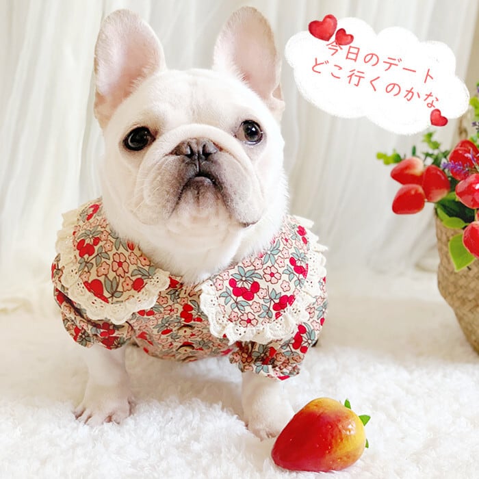 送料無料 Km403tsフレンチブルドッグ ビッグカラーブラウス 秋冬 犬服 ドッグウェア ブラウス おしゃれ 小花柄 コーデ お出かけ およばれ 高見え フェミニン 中型犬 小型犬 高級感 肌触り良い Dearkm フレンチブルドック孔明