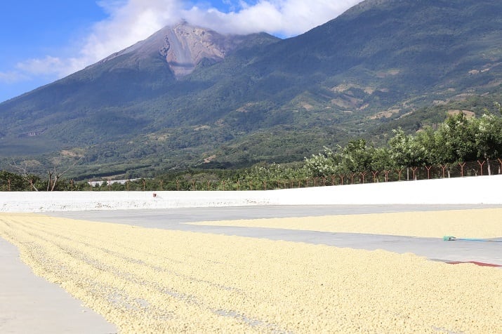 グァテマラ サンタカタリーナ農園HAB 中煎り 200g | 08COFFEE