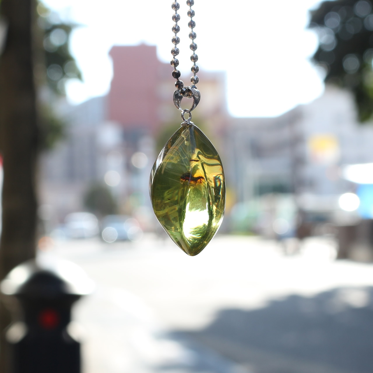 カリビアンアンバー 天然琥珀 虫入り シルバーペンダントトップ 0515000105・画像15