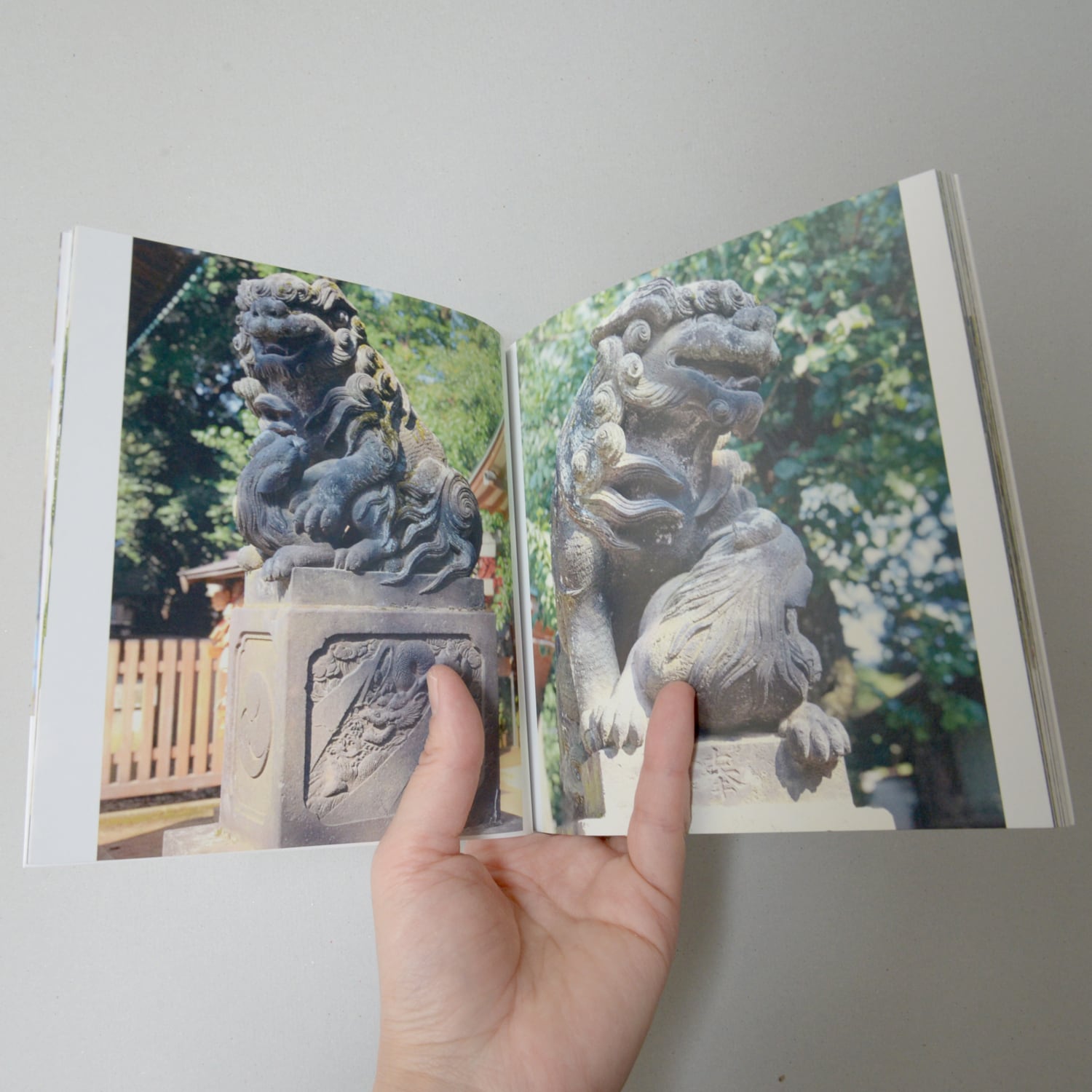 狛犬-KOMAINU- / No.49 龍郷みさき | ホトリの本場