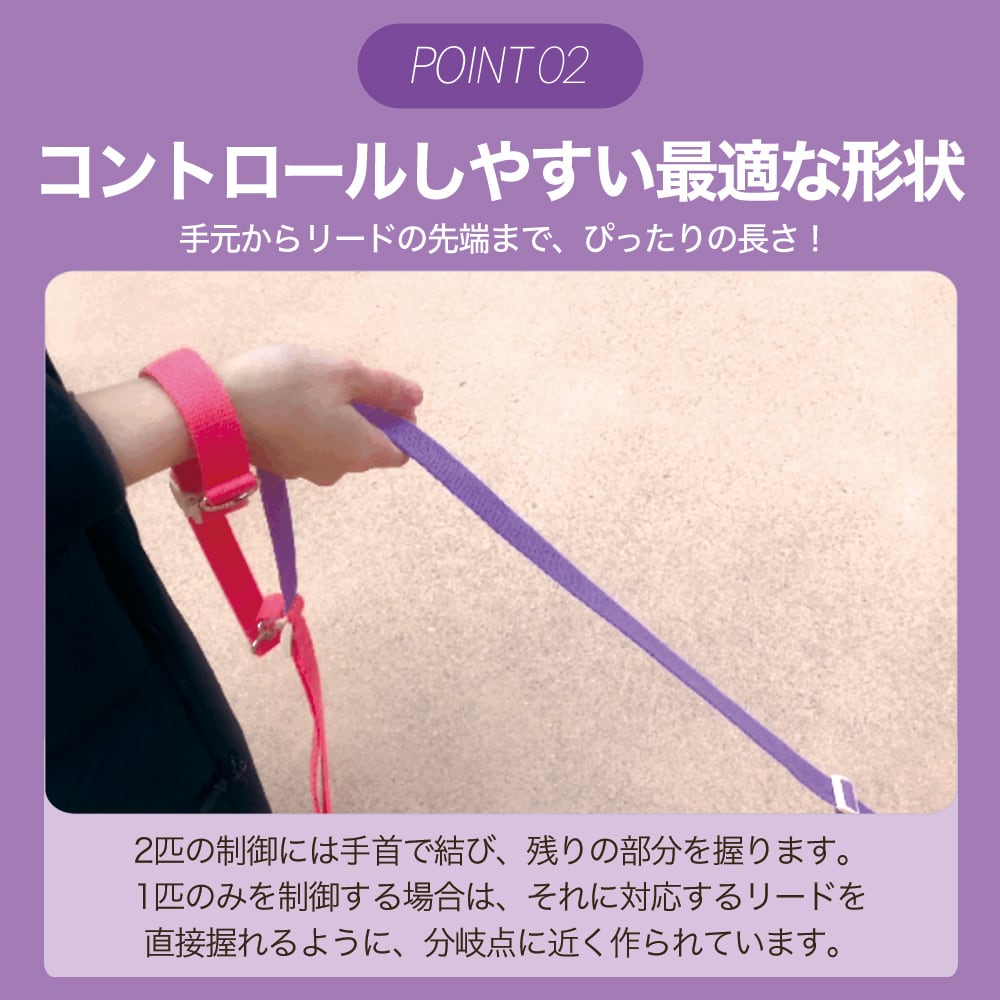 Double Leash ダブルリード | anpi