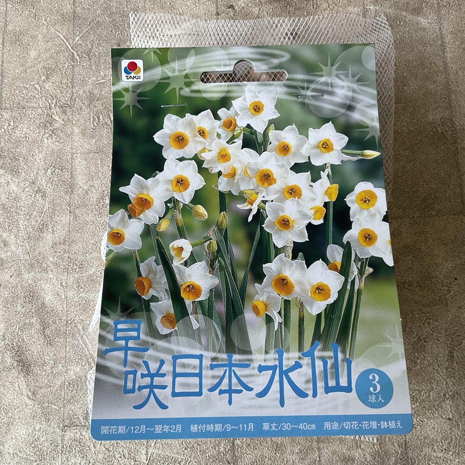 球根】水仙 スイセン 早咲日本水仙 3球入 | 橋本種苗園