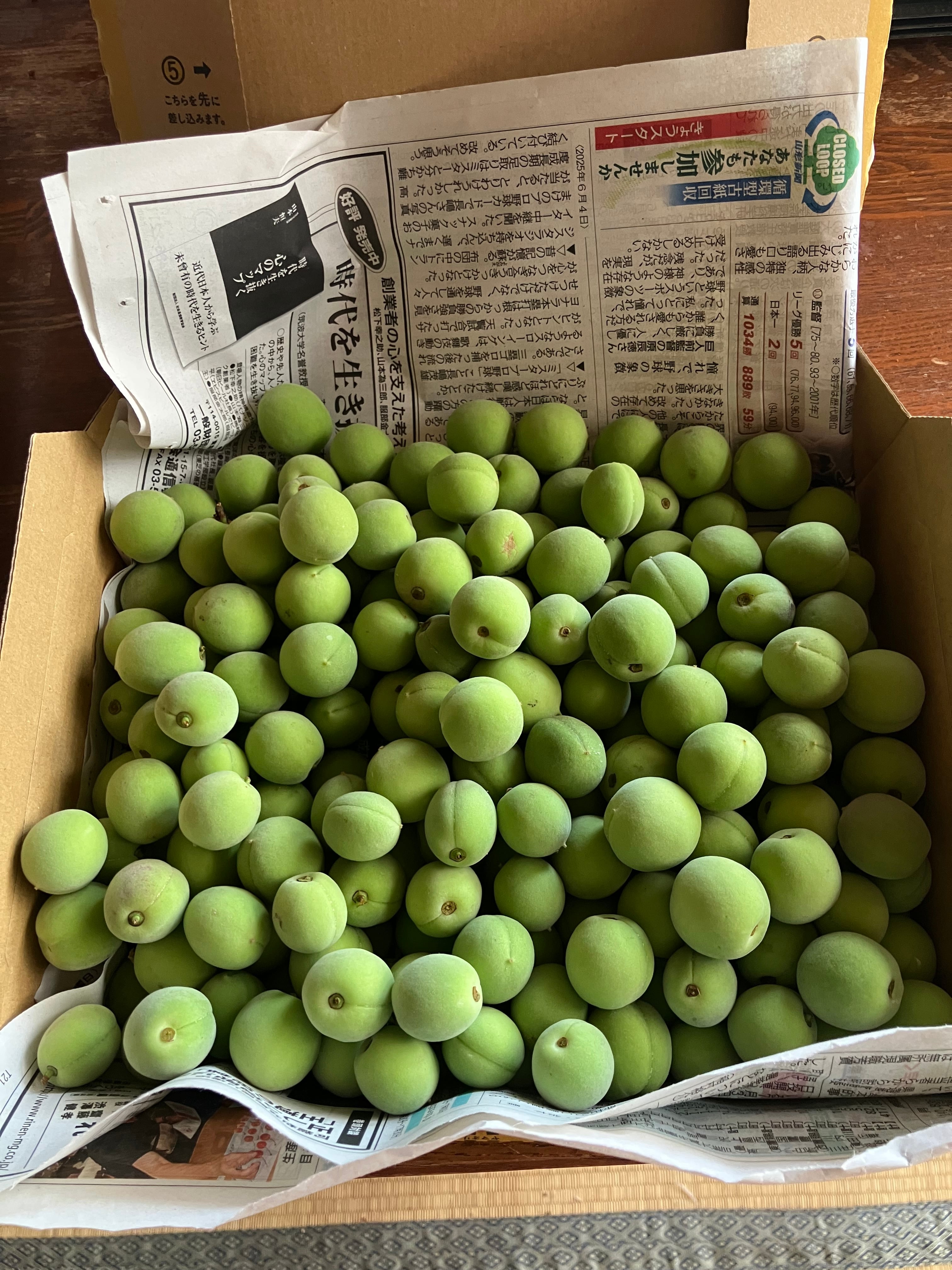 あつ】山形産 農薬不使用❗️希少在来種 谷沢梅 サイズ混合5㎏ （56