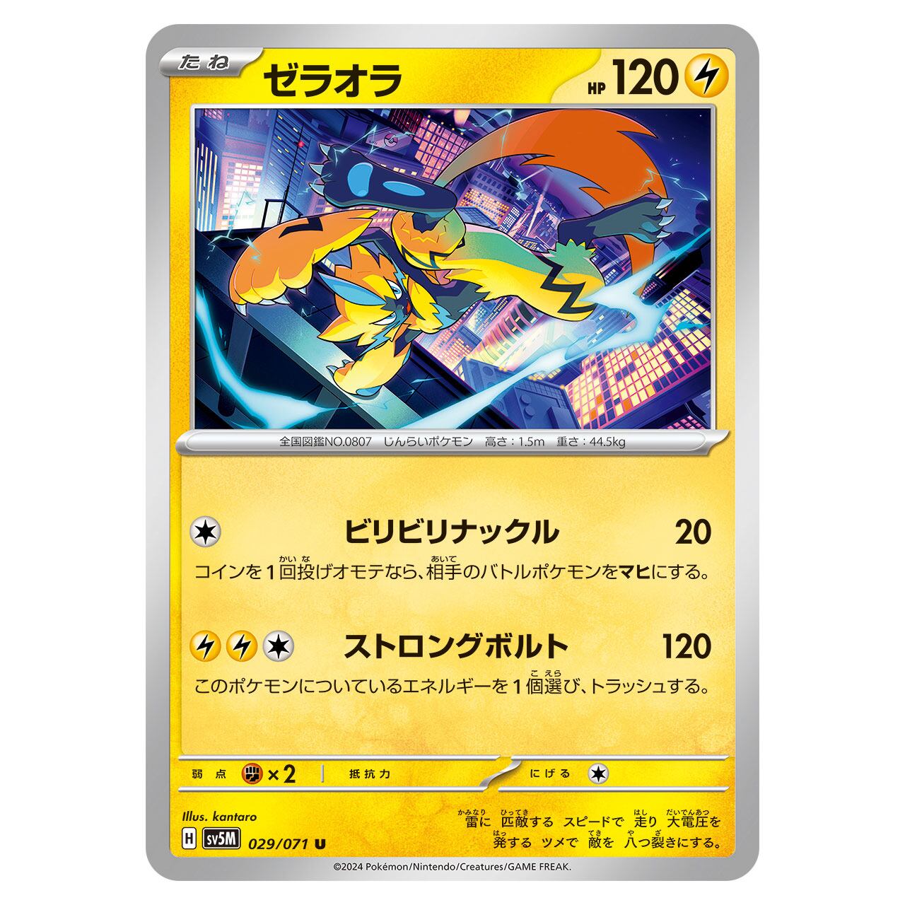 モルペコex SAR M5 115/081 | ポケモンカード専門店 Cobalt Cave
