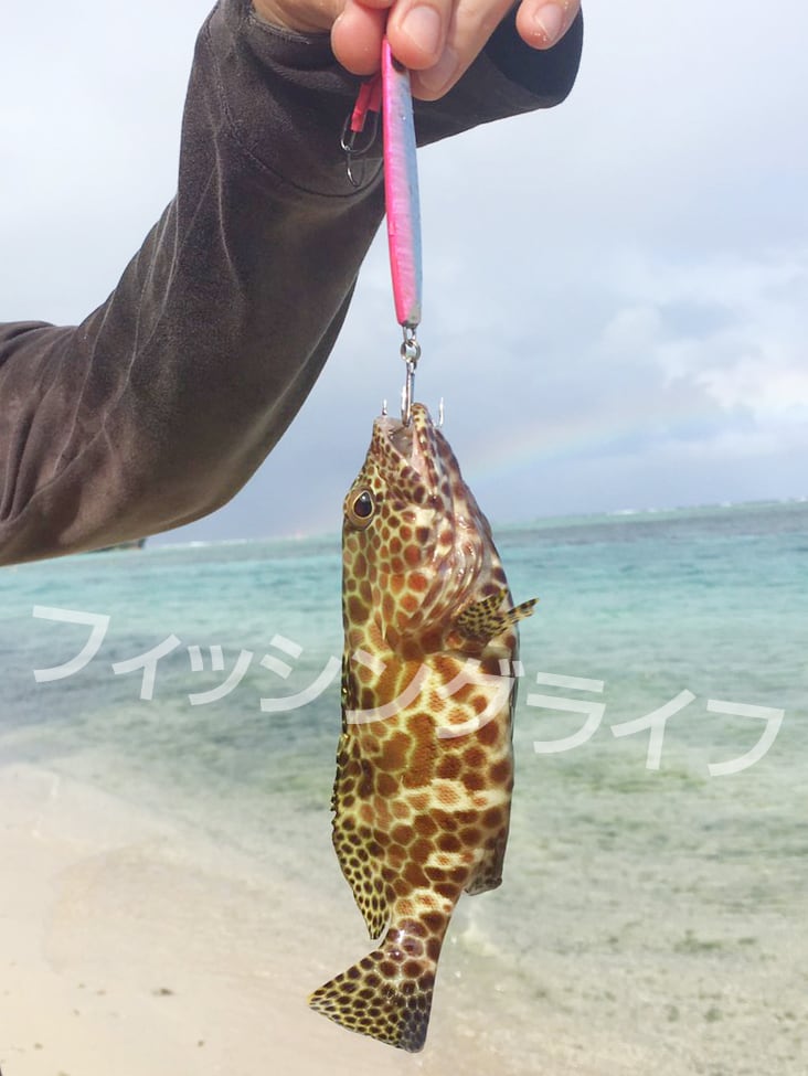 送料無料】トリプルフック #6 20本 トレブルフック | フィッシング