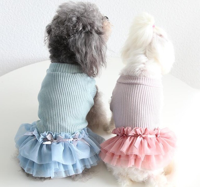 ドッグウェア　リブニットリボン付きチュールワンピース　ピンク　犬服