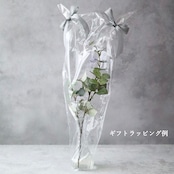 フィカス ベンジャミン 斑入り フェイクグリーン 観葉植物 インテリア シンボルグリーン H約75cm