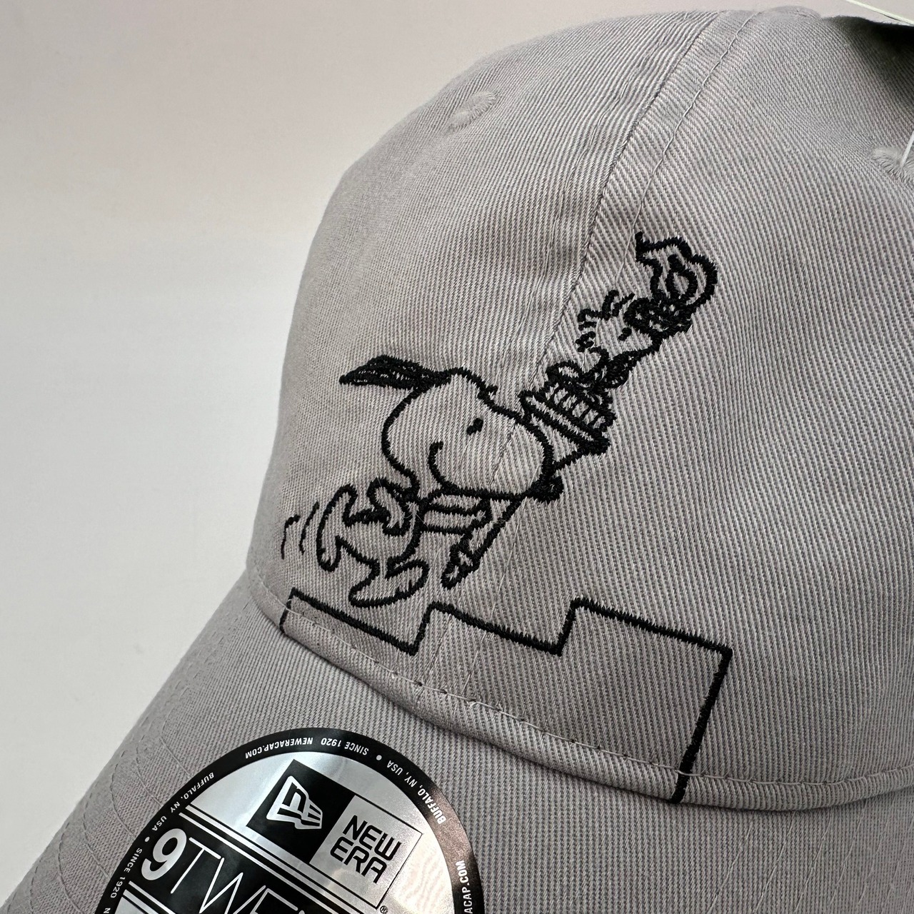 NEW ERA 9TWENTY/920 PEANUTS ピーナッツ スヌーピー ウッドストック 聖火 グレー　国内正規品