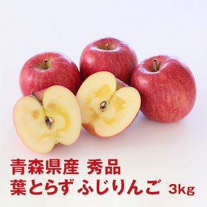 青森県産 秀品葉とらずふじりんご 3kg（2月限定）