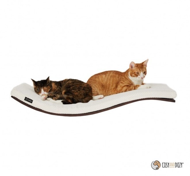 次回夏季入荷 空飛ぶ猫シェルフa ウェンジ A E 耐荷重25kg 大きな猫さんに クッション全5色 輸入ペット家具専門店 Caniture 次回夏季入荷 空飛ぶ猫シェルフa ウェンジ A E 耐荷重25kg 大きな猫さんに クッション全5色 輸入ペット家具専門店 Caniture