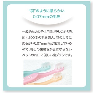 （業務用）オーラバイオブラシ　長毛タイプ　（歯科衛生士推奨）簡易包装 50本入