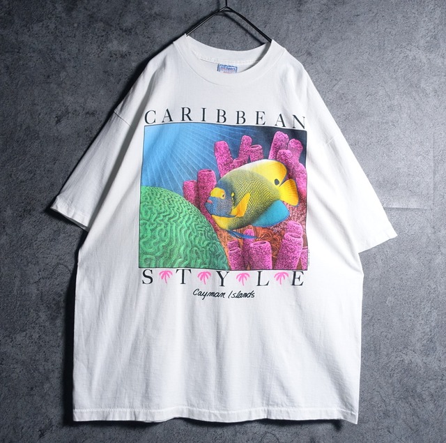 90s “ ALL SPORT” White Fish Art Print T-Shirt