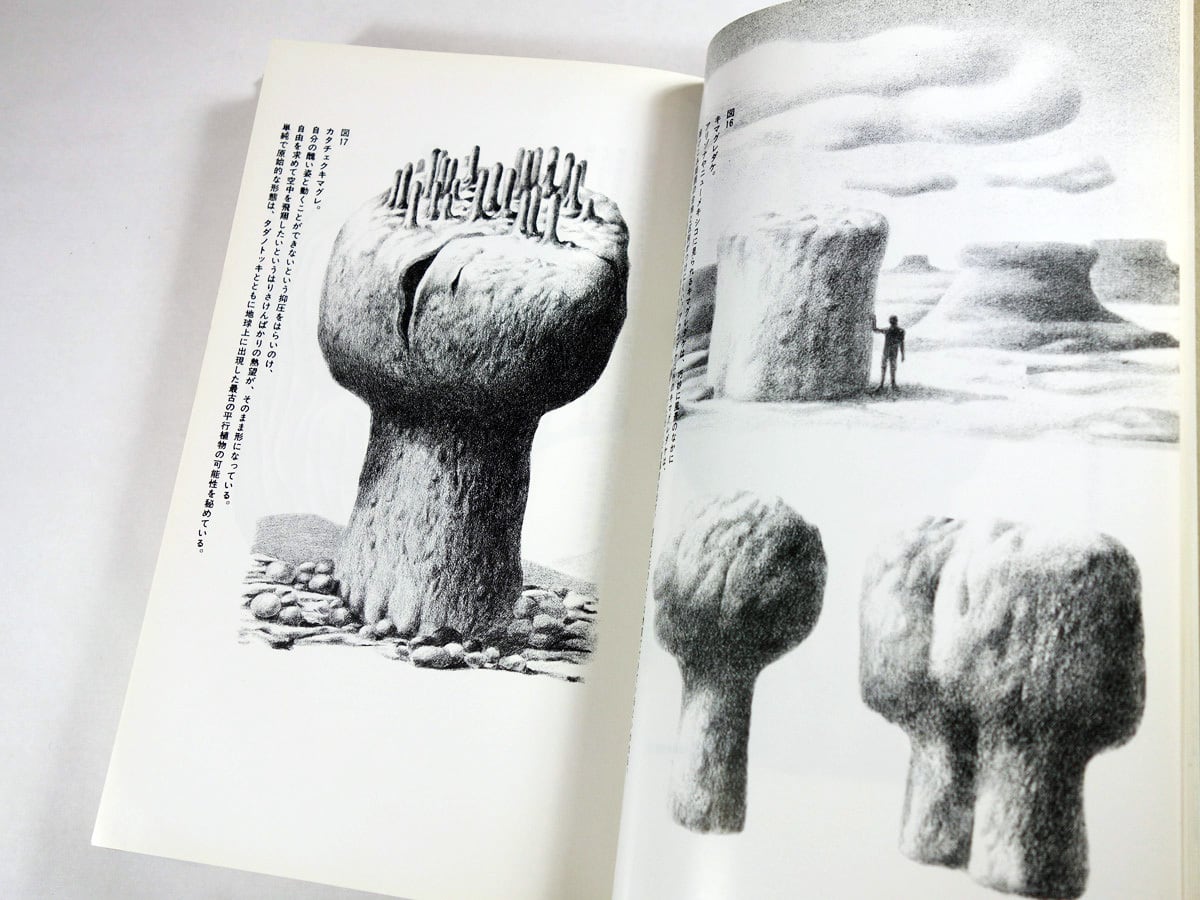 平行植物（レオ・レオーニ 著、宮本淳 訳） | bookstore ナルダ