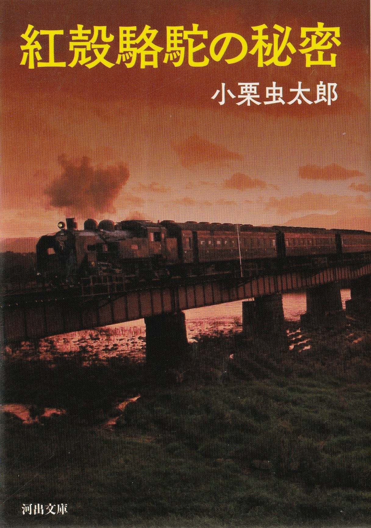 骨の記憶 ジョン・ルーリー回想録 | 本屋ロカンタン｜神戸・新長田の