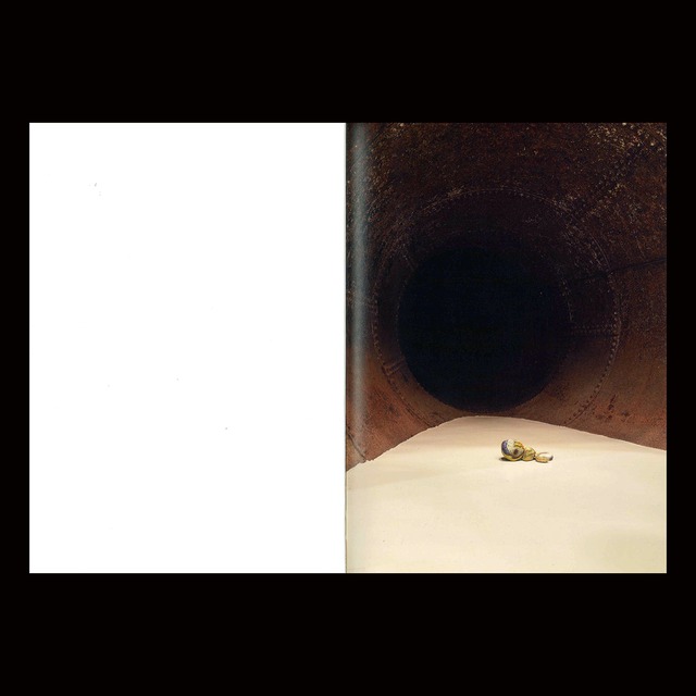 加藤泉 X チェン・フェイ：この世界に生きている