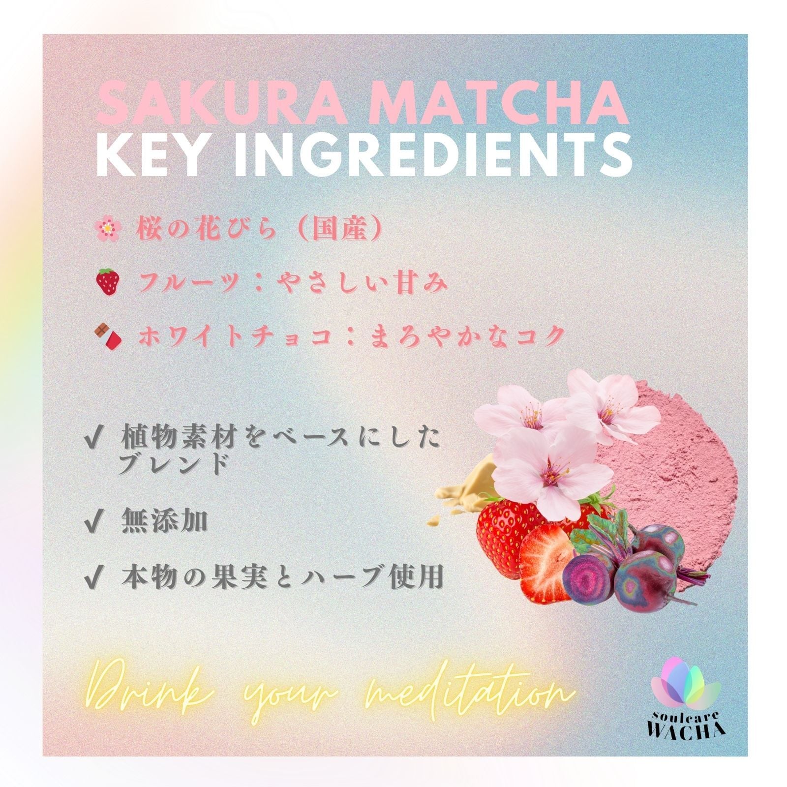 春限定 桜抹茶 花びらギフトセット｜ピンク抹茶20g＋国産フリーズ