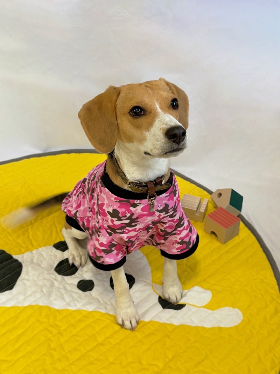 迷彩ビーグル柄トップス