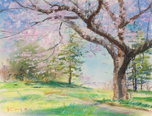 NO.162「桜の下の風・3月」