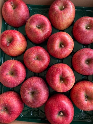 【毎月届く定期便】野菜ソムリエ上級Proが毎月厳選‼ 山形の恵み定期便♪