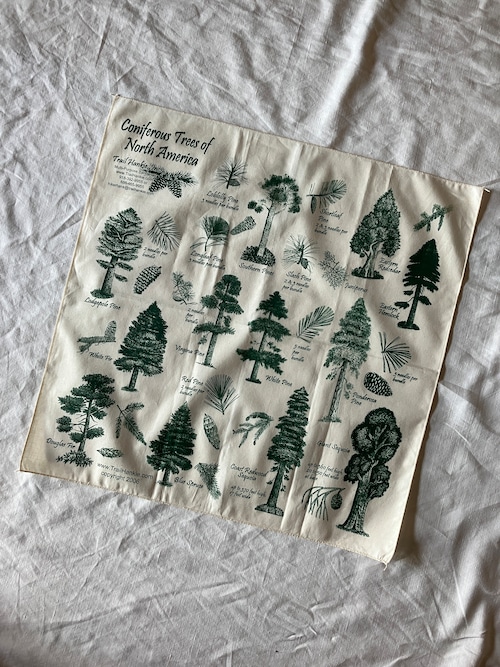 TRAIL HANKIE CONIFEROUS TREE BANDANA 2