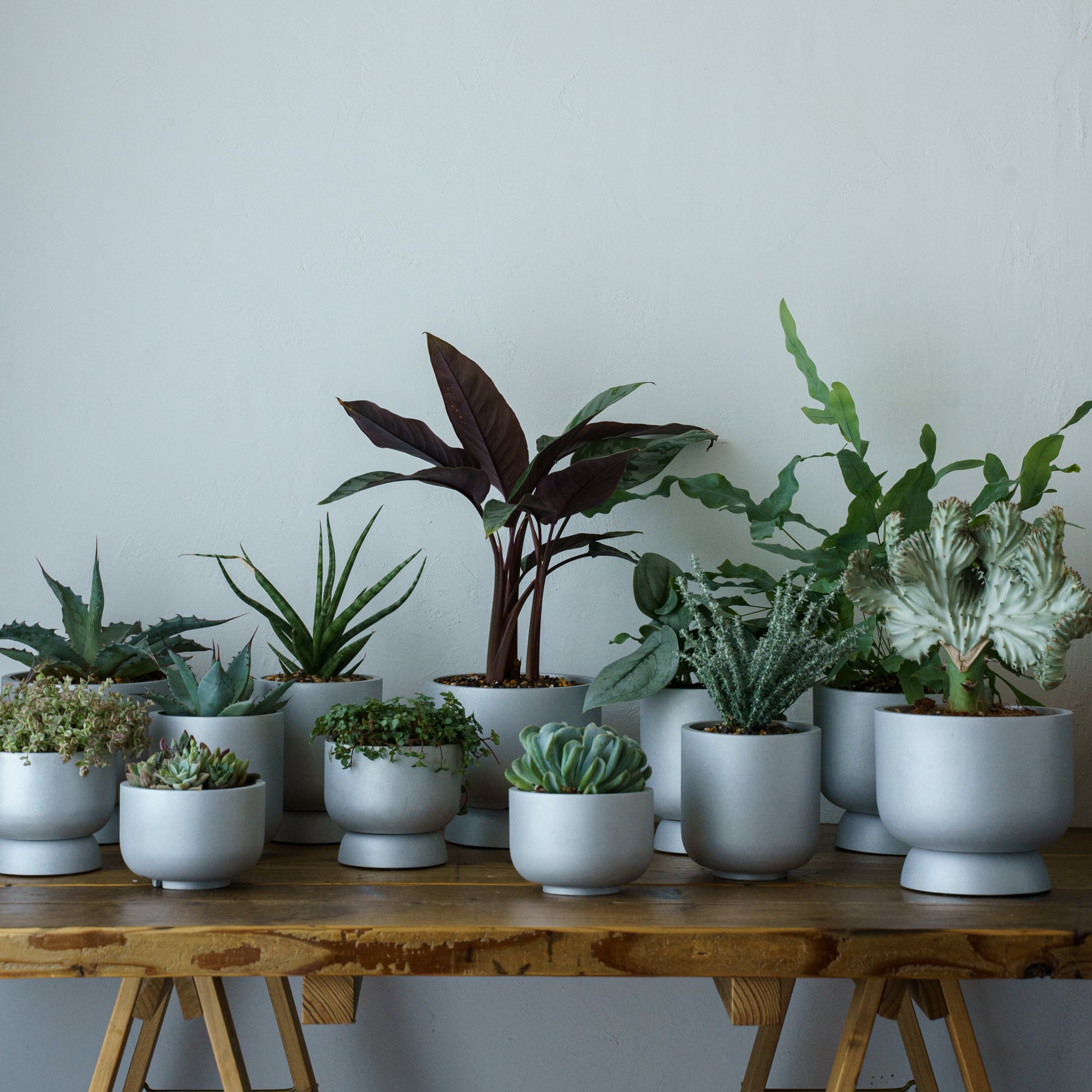 kokeshi planter s | HONOR
