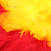 フラダンス ウリウリ マラカス 小物 レッド系 楽器 分離型 着脱型 赤 黄 茶 黒 亀 花 ケース セット 羽根 ケース付き 鮮やか 舞台 イベント ステージ 民族舞踏 ダンス小物 イエロー系 ホワイト系 ブラウン系 ブラック系