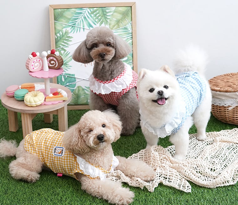 【SALE】lunch box vest S ~ XL / 犬服 春夏 新作 ベスト ドッグウェア 涼しい 可愛い 犬の服 小型犬 中型犬 ペット 犬 服 猫 袖なし top107