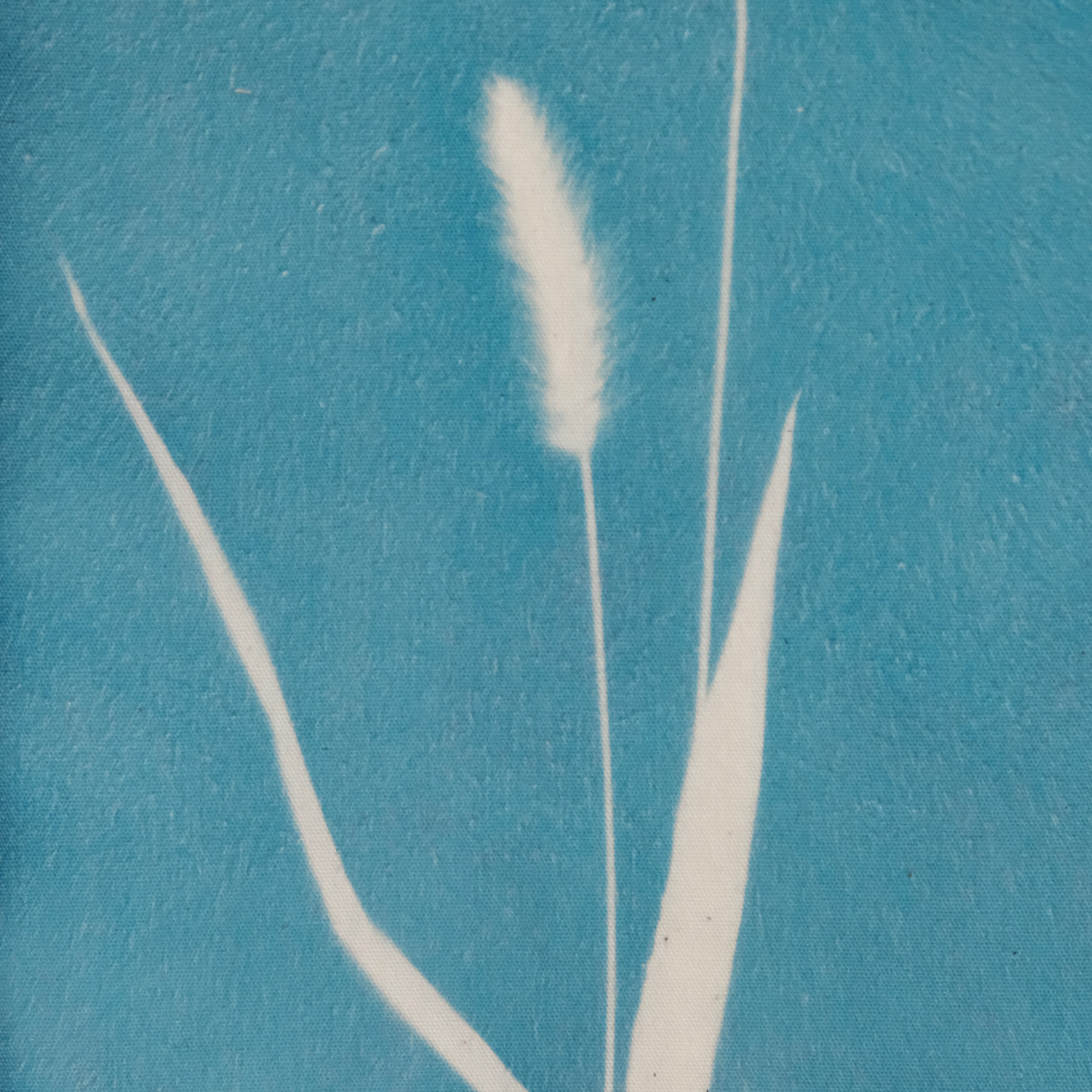 植物の青写真　cyanotype #5