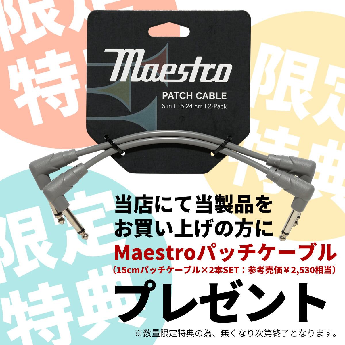 Maestro Arcas Compressor Sustainer [MOCACSP] 【数量限定価格＆特典
