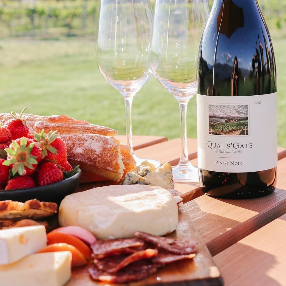 Quails’ Gate Pinot Noir 2022 – VQA Okanagan Valley（クエイルズ・ゲイト ピノ・ノワール 2022）