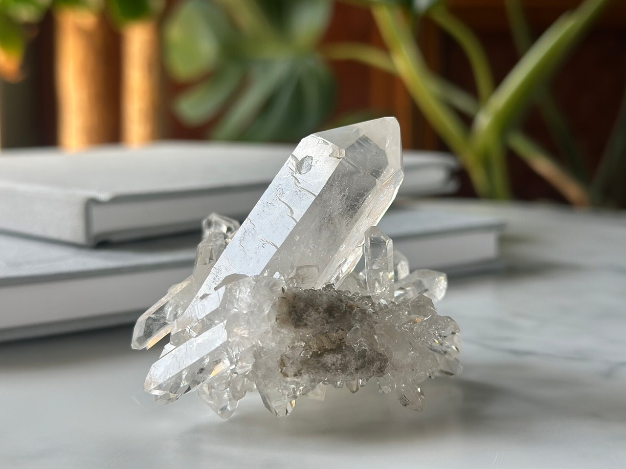 オートクチュール2