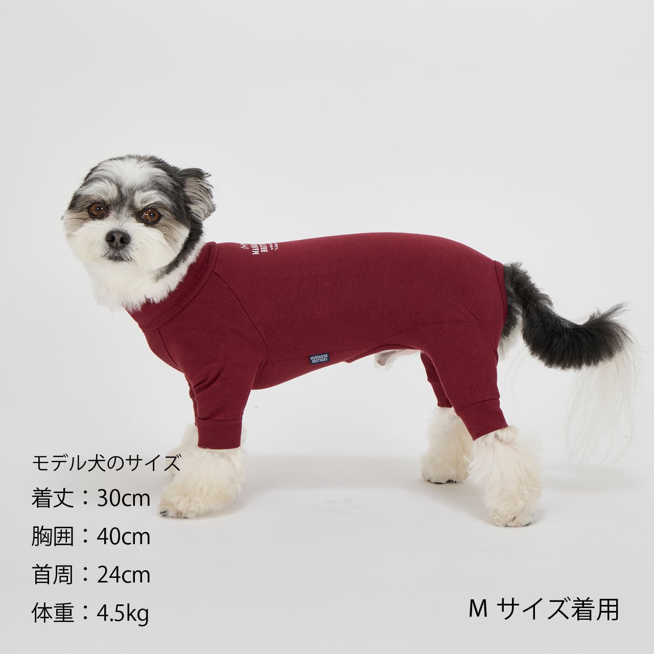 SKIN TIGHT SUIT（M.MD.L）スキンタイトスーツ | MANDARINE BROTHERS