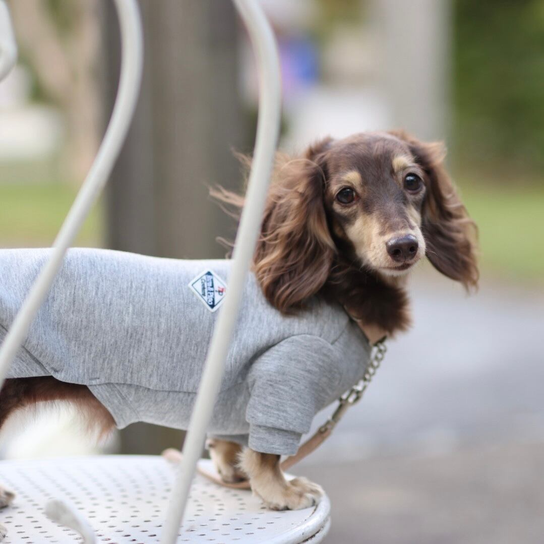 お揃いスウェット(ダンボールニット)【ご愛犬用】 | カニンヘン