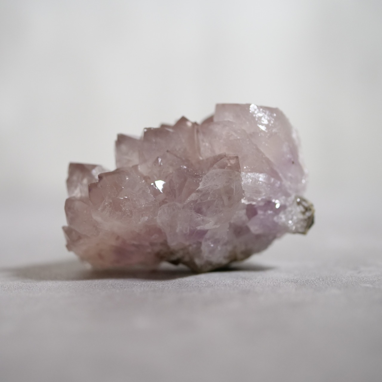 フラワー アメシスト アメジスト / 原石 標本