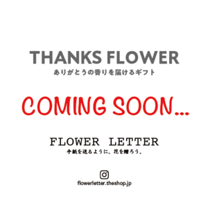 サンクスフラワー：Coming Soon...